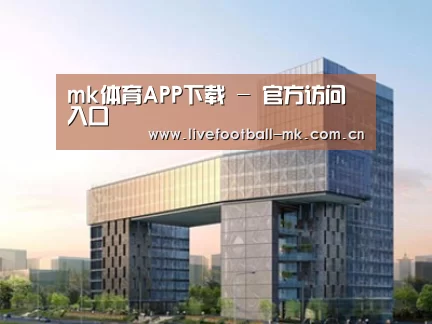 案例展示四