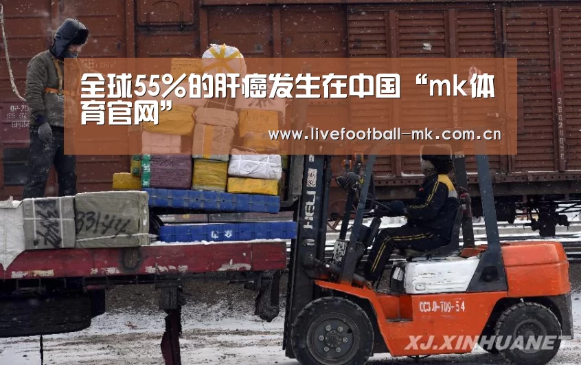 全球55%的肝癌发生在中国“mk体育官网”(图3) mk体育在线