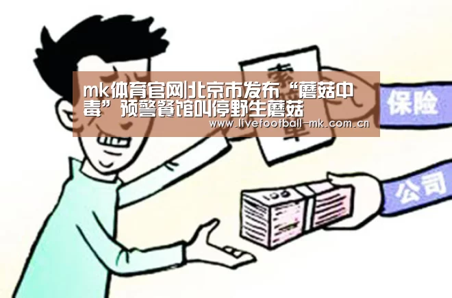 mk体育下载