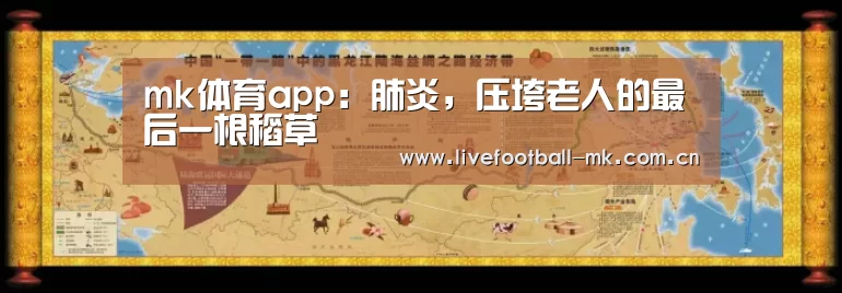 mk体育下载