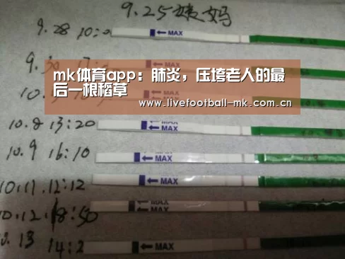 mk体育官网